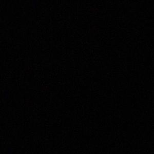 Meet your Posher, Daisy